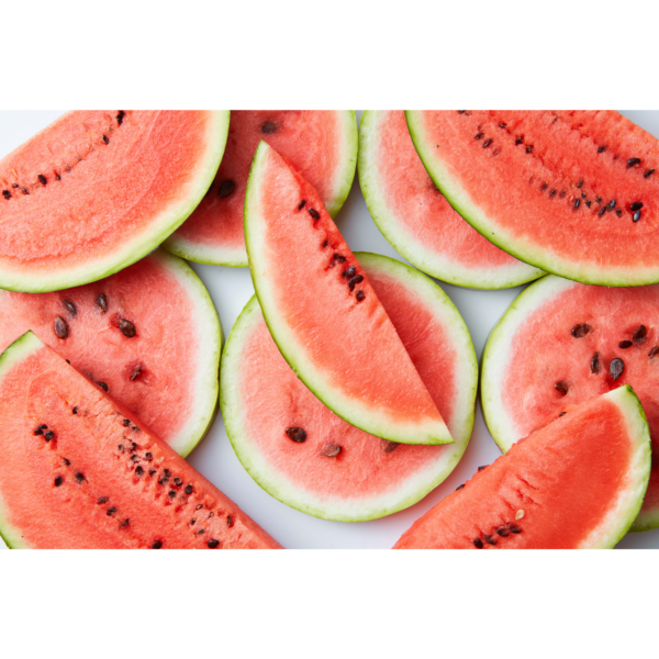 Sugar Baby Watermelon Seedlings